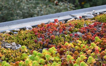 the cost of Michaelchurch green roof installation