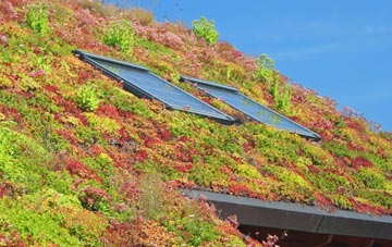 Michaelchurch living roof systems
